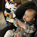 BABY EINSTEIN Hračka aktivní na C kroužku ZEN zebra 0m +